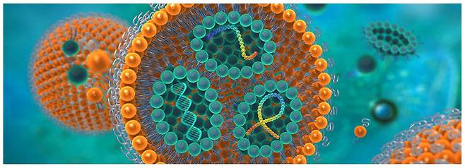 지질 나노 입자(LNP) 단면 / 사진=코덴파마 홈페이지 캡처.