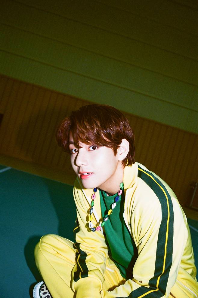 방탄소년단 뷔(BTS V)