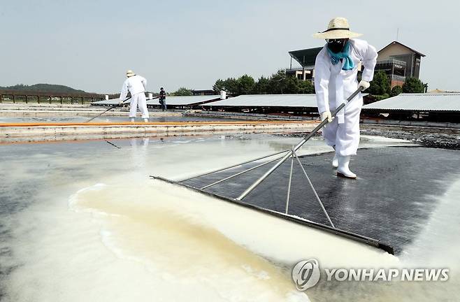 소래 염전 올해 첫 천일염 수확 [연합뉴스 자료사진]