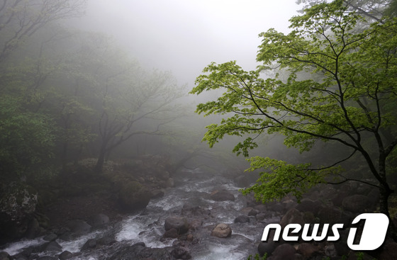 한라산에 안개가 짙게 껴 있다.© News1 © News1 DB