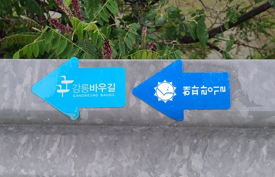 해파랑길과 강릉바우길 이정표. 손민호 기자