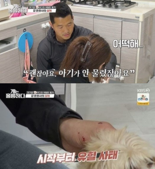 동물훈련사 강형욱, 개물림 사고. (사진=KBS2 ‘개는 훌륭하다’ 방송화면 캡처)