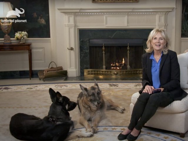백악관에서 수수한 차림으로 애견 두 마리에 함께 코로나19 관련 TV 공익 광고를 찍고 있는 질 바이든 여사.       백악관 홈페이지