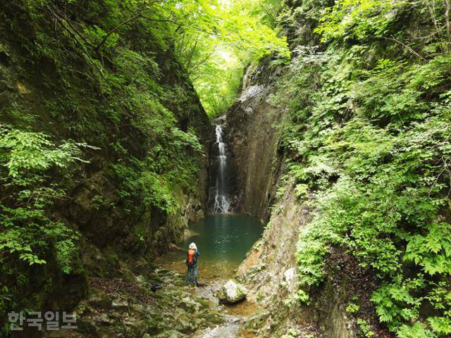 정선 화암면 화암팔경의 하나인 광대곡 영천폭포. 계곡 입구에서 1.7㎞ 정도 떨어져 있지만, 찾는 사람이 거의 없고 탐방로가 훼손돼 30분 이상 걸린다.