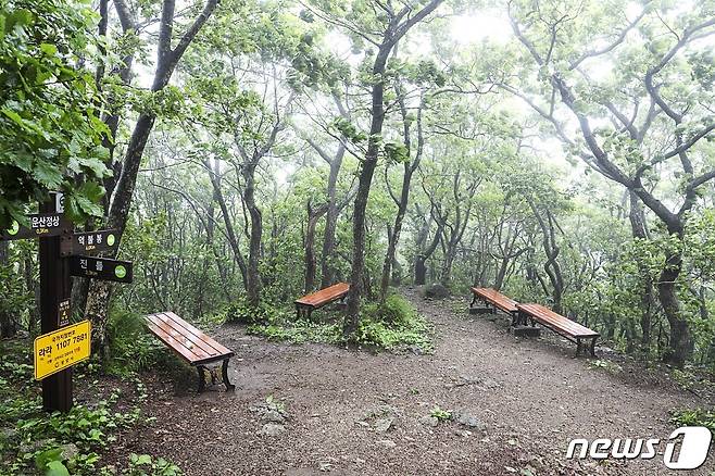 광양시가 백운산 등산로 정비사업을 완료했다(광양시 제공)2021.6.17/© 뉴스1