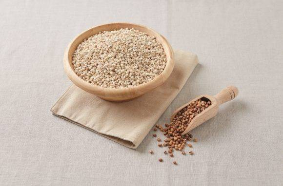 [사진=국립농업과학원 자료]