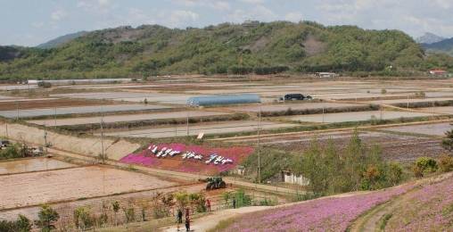 철의 삼각지대 격전지 백마고지 위령비와 기념관이 있는 야산에서 바라본 백마고지 전경. 오랜 세월이 지나 숲이 무성하다. 6.25전쟁 당시 총 27만여 발의 포탄이 쏟아지면서 고지는 원래 모습을 잃어버리고 하얀 땅을 그대로 드러냈다. 마치 이 형상이 백마가 누워 있는 모습과 같다 하여 붙여진 이름이다. 백마고지 앞 민통선 내에 ‘통일아~ 평화야~’ 문구가 가슴을 아리게 한다.