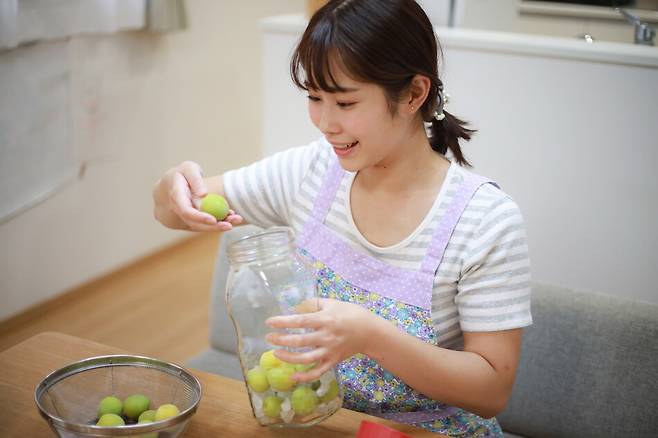 매실주를 담그는 모습. 게티이미지뱅크