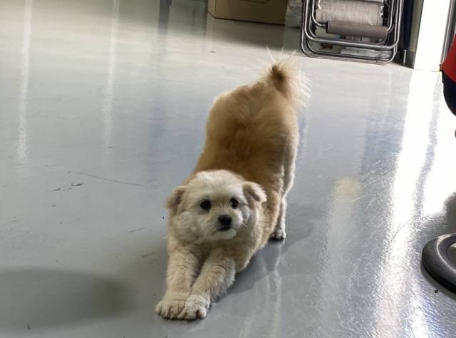 멍자 기지개 폈쪄요!(죄송)