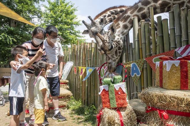 에버랜드 방문객들이 '세계 기린의 날'을 맞아 기린 행동풍부화 프로그램에 참여하는 모습. /사진=에버랜드
