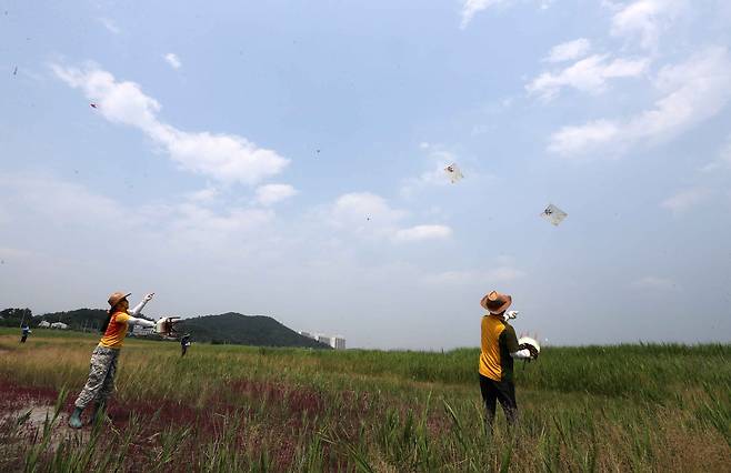 부부가 경기도 시흥시 폐염전에서 연을 날리고 있다. 김상선 기자