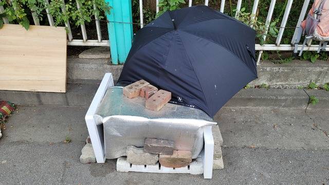 22일 오후 경기 수원시 한 주택가 일대에서 일명 '캣맘'이 길고양이들에게 사료와 간식을 주기 위해 마련한 밥터. / 사진제공=뉴시스