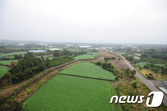 제주 제2공항 부지인 제주 서귀포시 성산읍 일대. © News1 DB