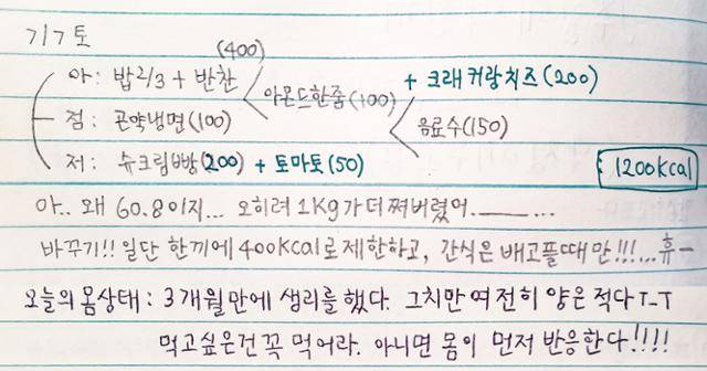 김윤아씨의 식단일기. 온종일 먹은 것들을 정확하게 기록했다. 하루 1,000kcal이하로 먹는 것이 목표였다. 성인 여성 기준 하루 권장 칼로리인 2,000kcal와 비교하면 딱 절반에 해당하는 수치다. 한때 거식증으로 인해 40kg대까지 빠졌던 그는 폭식증이 도지며 체중이 15kg 불었다. 한 달 사이에도 5kg씩 몸무게가 극단적으로 줄었다 늘기를 반복하며 월경이 수개월씩 멎기도 했다. 김윤아씨 제공