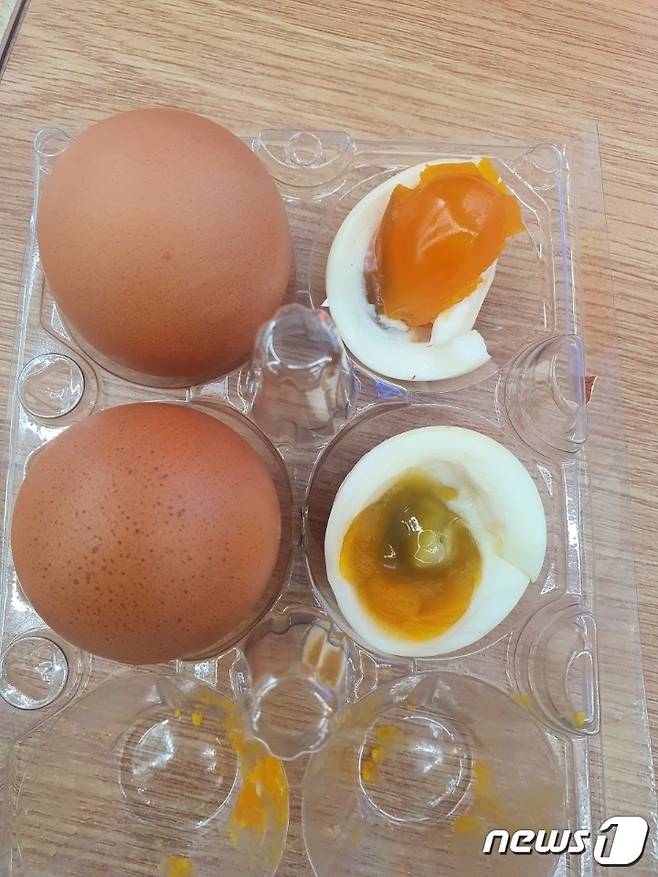 상한 달걀.(독자 제공)/뉴스1 © News1 지정운 기자