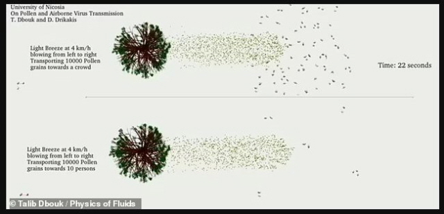연구팀은 코로나19 입자를 꽃가루가 어떻게 운반하는지 예측하는 시뮬레이션을 설정해 분석했다./사진=Physics of Fluids