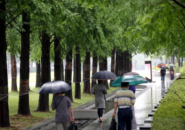 녹음이 우거진 부산 부산진구 송상현광장에서 우산을 쓴 시민들이 지난 11일 산책하고 있다. 연합뉴스