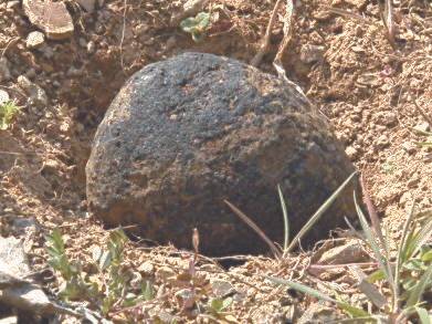 2014년 3월 10~17일까지 경남 진주에서 4개의 운석이 발견됐다. 대곡면 한 비닐하우스에서 발견된 진주 운석 1호(9.36㎏). 송봉근 기자