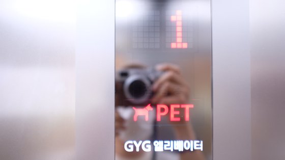 엘리베이터 안에 반려동물이 타고 있음을 알려주는 표시가 신선했다.