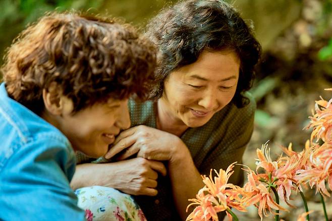 영화 <빛나는 순간>의 한 장면. 진옥과 경훈은 제주의 아름다운 장소들을 두루 돌아다닌다.  | 명필름 제공