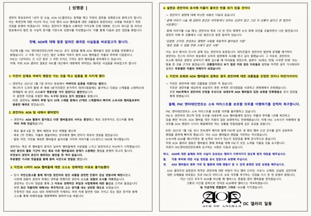 AOA 팬들이 발표한 성명문/ 사진=디시앤갤러리 캡처