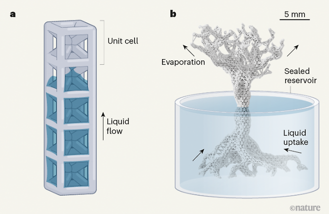 연구진이 미세유체공학을 이용해 개발한 미세관 모듈(왼쪽). 정육면체가 모듈 하나에 해당한다. 식물의 모세관 작용을 모방했다. 네이처 제공