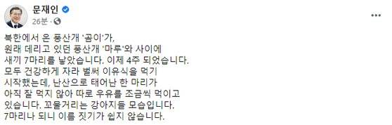 문재인 대통령이 3일 오전 올린 게시물. 페이스북 캡처