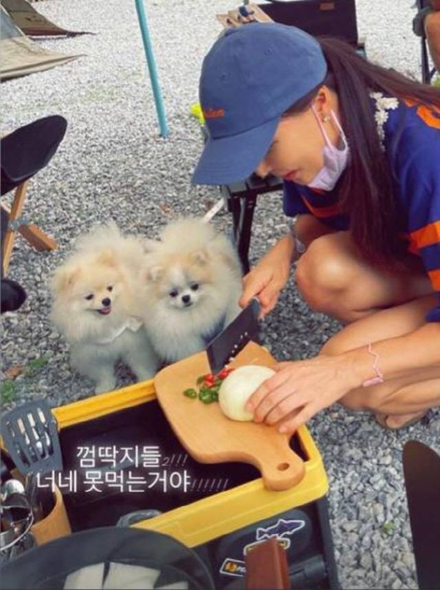 Jang Dong Gun Ko So Young I Thought You Were A Princess How S The Cook Calsyll At The Campsite