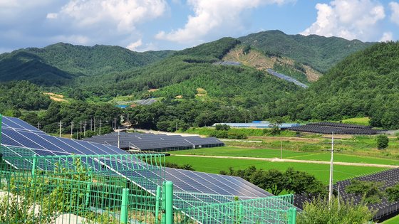 지난해 붕괴 사고가 일어난 전북 장수의 산지 태양광 발전소. 주변 곳곳에 태양광 발전소들이 보인다. 강주안 기자