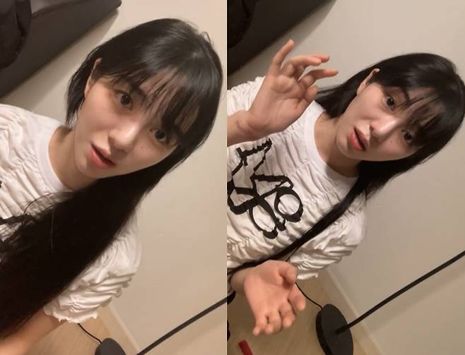 /사진=