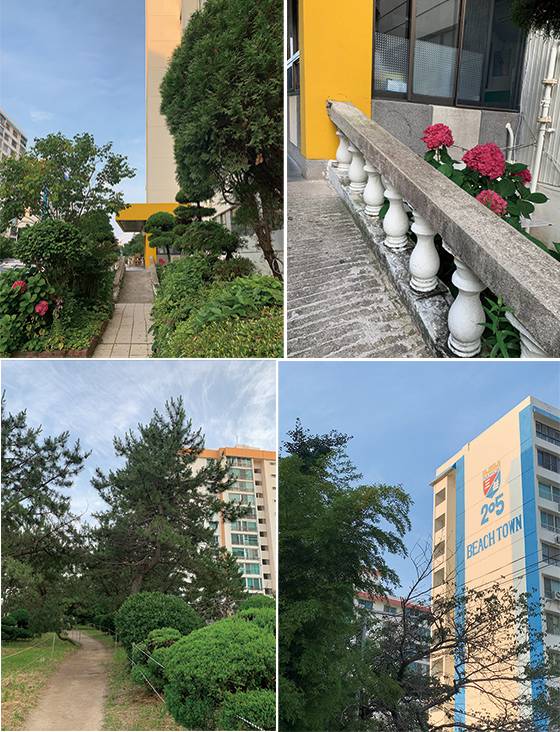 단지 내의 정원은 300 종이 넘는 나무와 꽃으로 가득하다, 삼익비치아파트 단지를 끼고 이어지는 긴 바닷가 해송 산책로, 삼익비치아파트는 알록달록한 외관과 로고로 눈길을 끈다. 바닷가의 오래된 아파트의 원색적 아름다움은 그 자체로 예술품이 된다. 사라지기 전에 눈에 담아둘 추억이다.