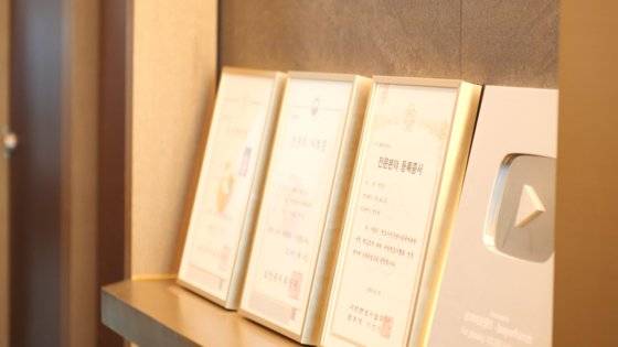 박성민 변호사의 사무실 로비에 놓인 '의사명허증', '전문의 자격증', '형사전문 변호사 등록증'과 유튜브 '실버버튼'. 정진호 기자