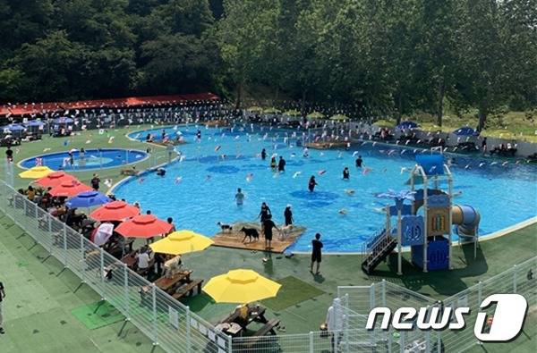 골드펫리조트가 여름 휴가철을 맞아 반려견을 위한 펫캉스 시설을 갖추고 이벤트를 마련했다고 11일 밝혔다. (골드펫리조트 제공) © 뉴스1