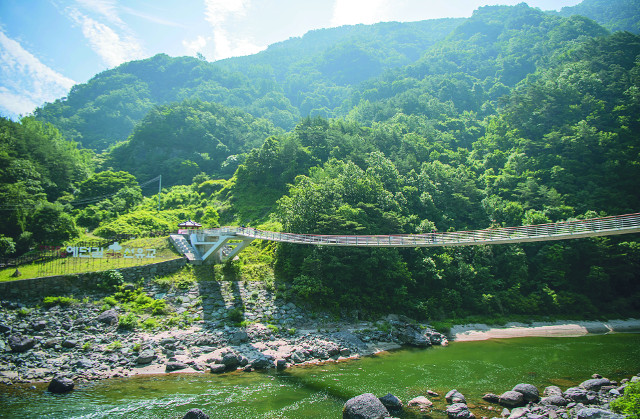 청량산 아래 낙동강을 가로지르는 '예던길' 선유교.