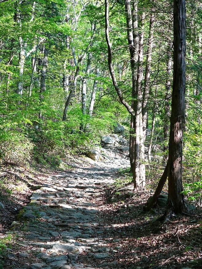 중요한 것은 '순간순간을 사는 일'이다.