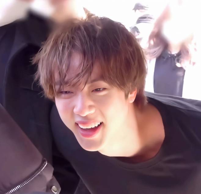 방탄소년단 진(BTS JIN)