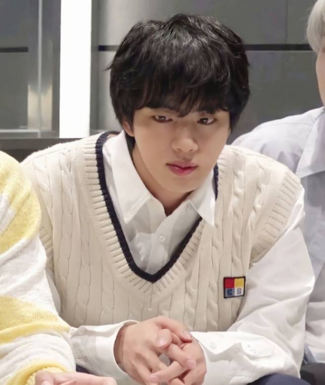 방탄소년단 진(BTS JIN)