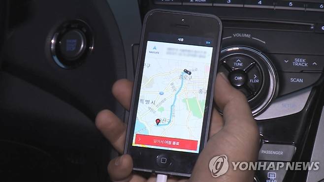 내비게이션 [연합뉴스TV 제공]