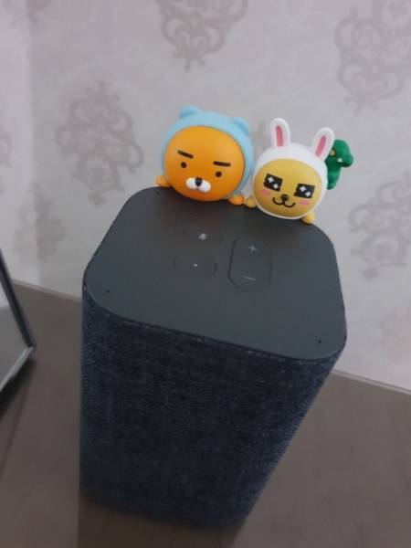 생활 속 인공지능 스피커.