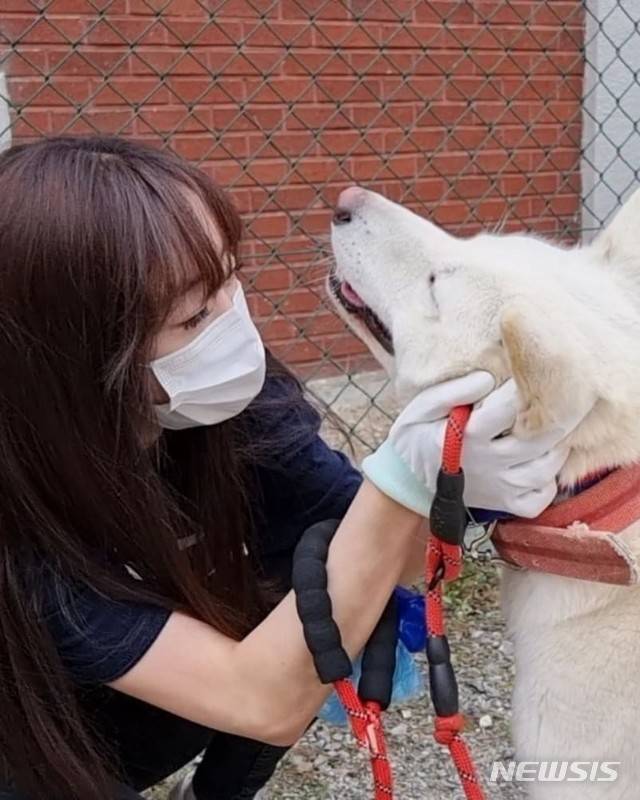 [서울=뉴시스]지난난 4월17일 용인시에 위치한 유기견 보호소에서 송인선 주한외국기업연합회(KOFA) 사무총장이 반려견을 살펴보고 있다.(사진=송인선씨 제공)