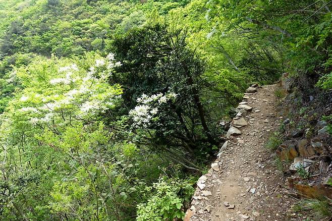 보행자의 열반은 걸으며 깨닫는 무아의 상태가 아닐까.