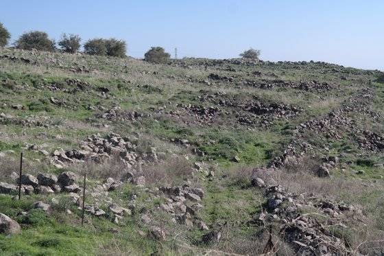 갈릴리 호수 근처의 산촌에 있는 옛 마을의 유적지. 예수 당시에도 이 마을은 있었다. 예수도 이곳에 와서 유대 회당에서 설교를 하곤 했다.