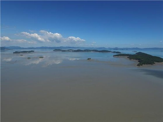 전남 보성 대포항 주변 입자가 고운 세립질 펄갯벌과 장도갯벌. 사진 문화재청