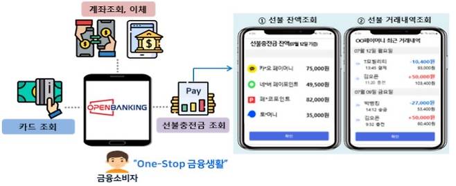 은행 앱에서의 선불충전금 정보 조회 사용예시  [금융위 제공]