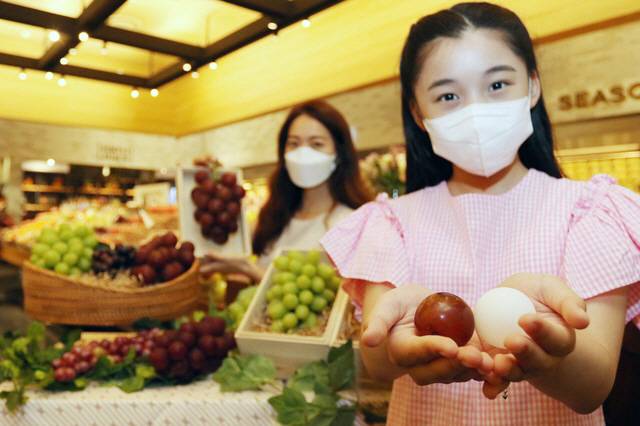 루비로망 포도. [사진 제공 = 신세계백화점]