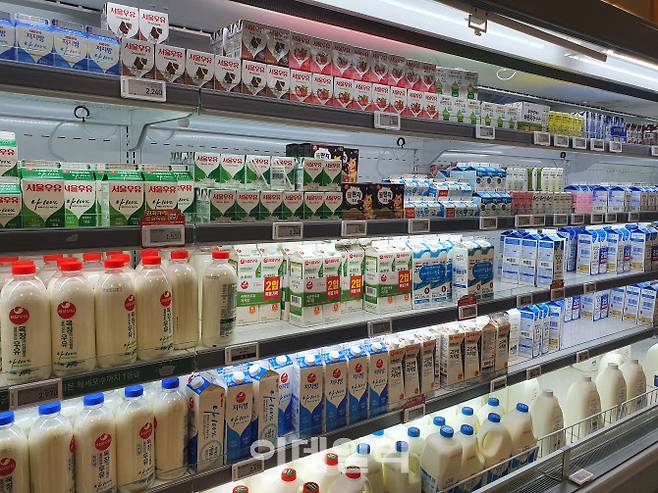 이마트 은평점의 우유 판매대 모습. 이달 우유 원재료인 원유가격 인상으로 우유값도 조만간 인상될 전망이다.(사진=김보경 기자)
