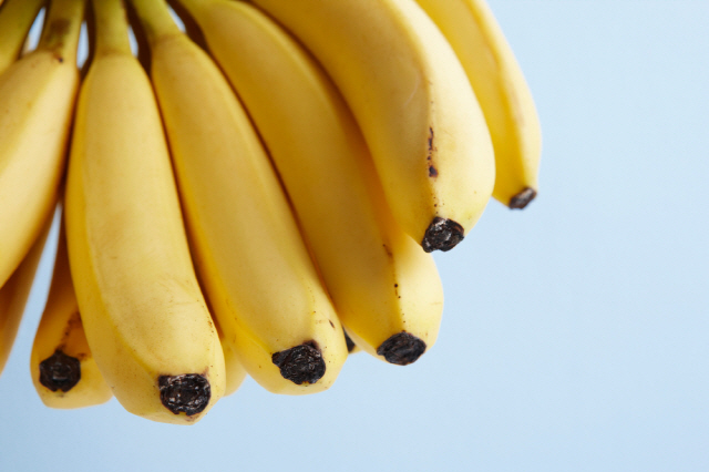 바나나가 수면 장애 개선을 돕는다는 연구 결과가 나왔다./사진=클립아트코리아