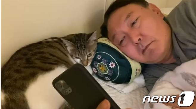 윤석열 전 검찰총장이 반려묘 나비와 머리를 맞대고 누워 휴대전화를 바라보고 있다.(윤석열 전 검찰총장 인스타그램)© 뉴스1
