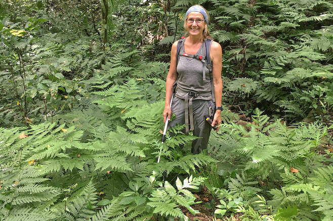 말라위 숲에서 채프먼스 피그미 카멜레온을 찾고 있는 크리스털 톨리 박사의 모습.(사진=게리 브라운 연구원)