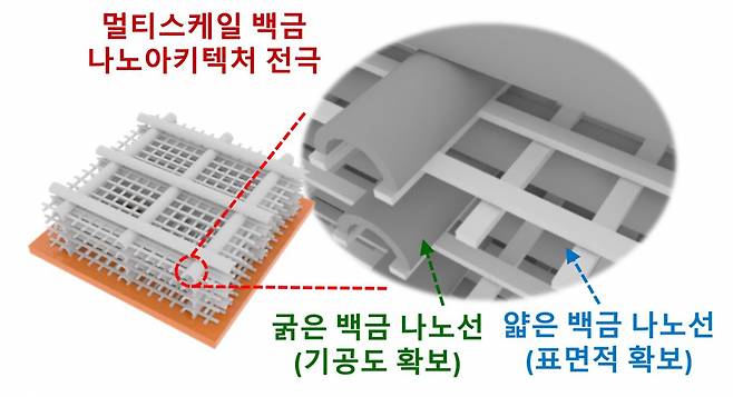 철골구조와 비슷한 형태의 멀티스케일 백금 나노 아키텍처 전극 모식도. [KIST 제공]